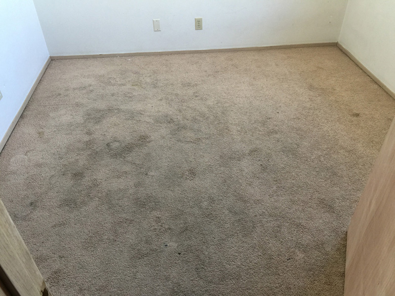 Landscaping Services Image 1