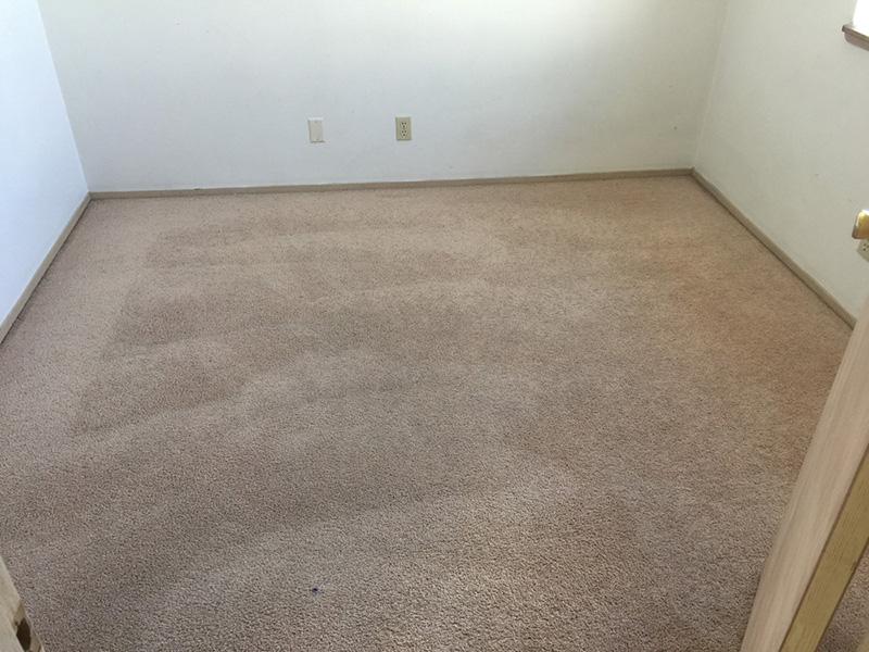 Landscaping Services Image 1